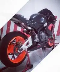 CBR 600 RR pronto gara pista CBR 600 RR pronto gara pista