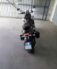 YAMAHA V-Max 2009 YAMAHA V-Max 2009