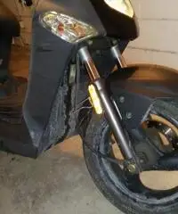 Kimko agility Kimko agility