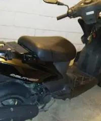 Kimko agility Kimko agility