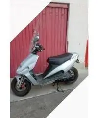 Malaguti Phantom F12-R 50 - 1999