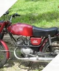 Moto Guzzi dingo 50 gt - Anni 70 Moto Guzzi dingo 50 gt - Anni 70