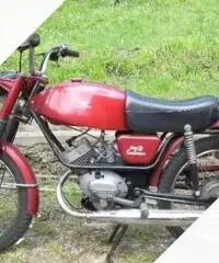 Moto Guzzi dingo 50 gt - Anni 70 Moto Guzzi dingo 50 gt - Anni 70