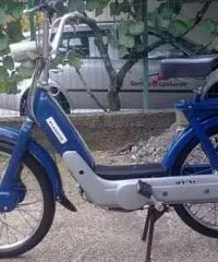 CERCO PIAGGIO CIAO O BRAVO