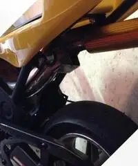 Minimoto wt motors