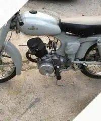 Ducati Scrambler - Anni 50