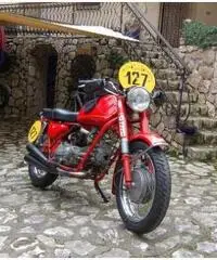 MOTO GUZZI NUOVO FALCONE 500 STORICA 1971  NUOVISSIMA! MOTO GUZZI NUOVO FALCONE 500 STORICA 1971  NUOVISSIMA!