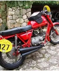 MOTO GUZZI NUOVO FALCONE 500 STORICA 1971  NUOVISSIMA! MOTO GUZZI NUOVO FALCONE 500 STORICA 1971  NUOVISSIMA!