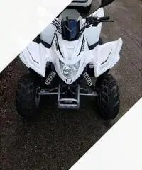 Aeon New Cobra 50cc - 2008 Aeon New Cobra 50cc - 2008
