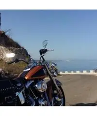 Harley-Davidson FLSTC Heritage Softail Classic FLSTC Heritage Softail Classic