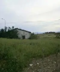 Pietrelcina: Terreno Altro Pietrelcina: Terreno Altro