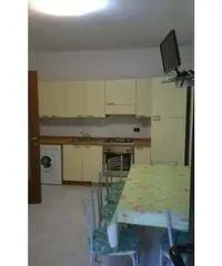 Appartamento in Affitto di 65mq Appartamento in Affitto di 65mq