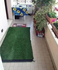 Appartamento a Bomporto in provincia di Modena