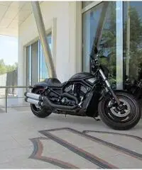 HARLEY-DAVIDSON VRSCDX Custom cc 1246