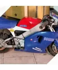 Minimoto polini