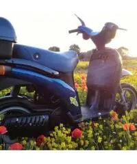 Piaggio Free 50 Piaggio Free 50