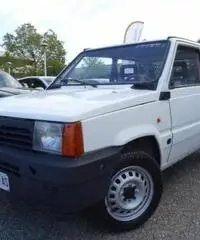 FIAT Panda 900 i.e. cat Young