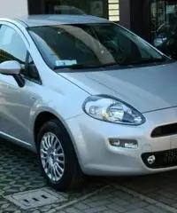 FIAT Punto 1.2 8V 5 porte Young