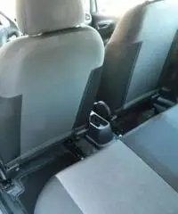 FIAT Punto 1.2 8V 5 porte Young FIAT Punto 1.2 8V 5 porte Young