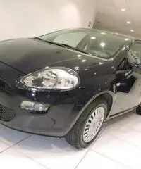 FIAT Punto 1.2 8V 5 porte Street *GARANZIA FIAT* FIAT Punto 1.2 8V 5 porte Street *GARANZIA FIAT*