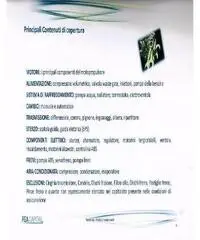 FIAT Punto 1.2 8V 5 porte Street *GARANZIA FIAT* FIAT Punto 1.2 8V 5 porte Street *GARANZIA FIAT*