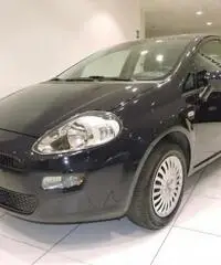 FIAT Punto 1.2 8V 5 porte Street *GARANZIA FIAT* FIAT Punto 1.2 8V 5 porte Street *GARANZIA FIAT*