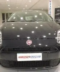 FIAT Punto 1.2 8V 5 porte Street *GARANZIA FIAT* FIAT Punto 1.2 8V 5 porte Street *GARANZIA FIAT*