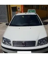 FIAT Punto Classic 1.2 5 porte Natural Power OK NEOP GARNZ EU FIAT Punto Classic 1.2 5 porte Natural Power OK NEOP GARNZ EU