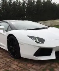 LAMBORGHINI Aventador 6.5 V12 LP700-4 Roadster