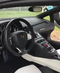 LAMBORGHINI Aventador 6.5 V12 LP700-4 Roadster