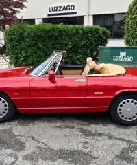 Alfa Romeo - Spider 1600 (115A2) Alfa Romeo - Spider 1600 (115A2)