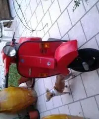 PIAGGIO Vespa tipo veicolo 50cc cc 50