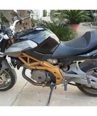 shiver750 shiver750