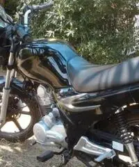 SYM Super Duke tipo veicolo Altro cc 125 SYM Super Duke tipo veicolo Altro cc 125