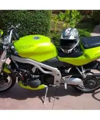 Triumph Speed Triple 955 Triumph Speed Triple 955