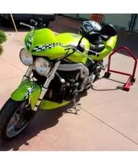 Triumph Speed Triple 955 Triumph Speed Triple 955