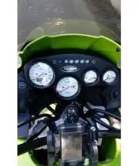 Triumph Tiger 955i
