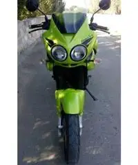 Triumph Tiger 955i