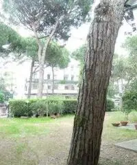 Villa in Vendita - settima traversa Villa in Vendita - settima traversa