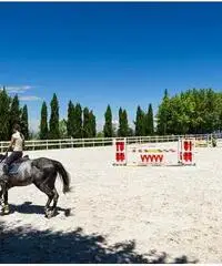 Centro ippico scuderia cavalli