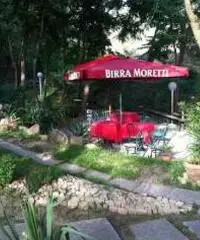 RISTORANTE PIZZERIA BAR AVVIATO