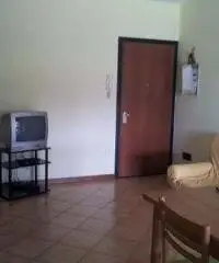 Appartamento di 3 locali in Vendita Appartamento di 3 locali in Vendita