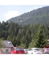 Appartamento in Affitto 70mq Appartamento in Affitto 70mq