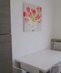 Parma Affitto Appartamento