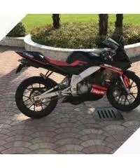 Derbi gpr 50 Derbi gpr 50