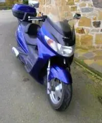 SUZUKI AN Burgman tipo veicolo Scooter cc 250