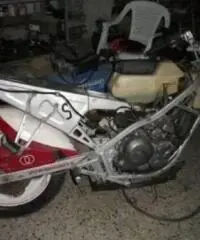 GILERA KK tipo veicolo Sportive cc 125 GILERA KK tipo veicolo Sportive cc 125