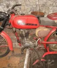 Corsaro 125 anni 60 Corsaro 125 anni 60