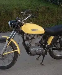 Ducati scrambler