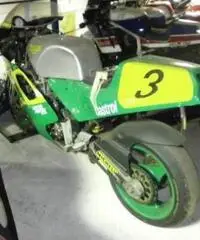 TRIUMPH Daytona 900 FACTORY TRIUMPH Daytona 900 FACTORY